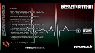 Nem szopnak a ministránsok - Rózsaszín Pittbull - Bongfoglalás (2010)