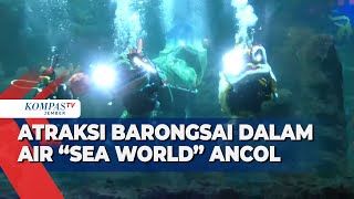 Rayakan Imlek, Begini Kemeriahan Atraksi Barongsai Dalam Air di Sea World Ancol