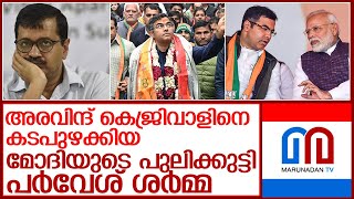 കെജ്രിവാളിനെ കടത്തിവെട്ടി ന്യൂഡൽഹിയെ കീഴടക്കിയ പർവേശ് ശർമ്മയുടെ കഥ l Parvesh Sahib Singh