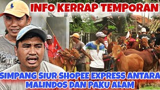 SHOPEE EXPRESS DI BELI PAKU ALAM,  MUNGKIN KARENA INI DI SANGKA DI BELI MALINDOS || INFO KERRAP JAWA