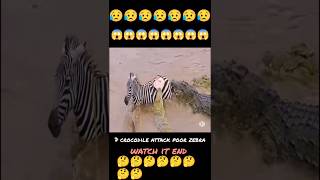 😭very bad moment😭||crocodile s attack zebra#shortvideo #trendingshorts#shortvideoyoutube #short
