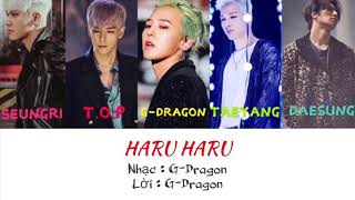 Haru haru ( day by day ) vietsub - Bigbang