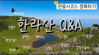 [관음사 코스 정복하기] 등산 초보자도 가능한 한라산 관음사 코스 등반 꿀팁 5분 총정리 !!!