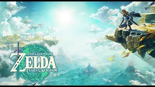 Passeri Greenbelt - Zelda Tears of the Kingdom 100% Walkthrough Part 231