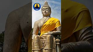 Lord Buddha Quotes #shorts #meditation #spiritualworld #buddha #buddhism #yoga