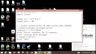 Python script for TCP client server communication