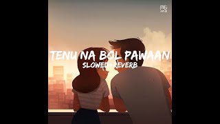 Tenu Na Bol Pawaan [Slowed + Reverb] - Behen Hogi Teri | Gab Audio