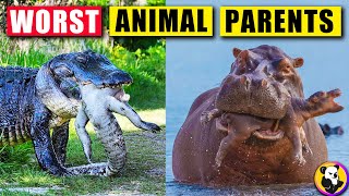 Worst Animal Parents In the World [Top 10]