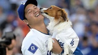 大谷翔平がＳＮＳに愛犬デコピンを投稿　ファン歓喜「今度は食いちぎらずに優しく甘噛み」