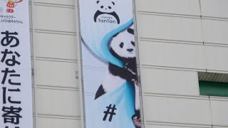 LOVE♥ KOBE4K🐼 神戸の街にタンタンジャック🐼 ずっと大好き、ありがとうタンタン🐼 #神戸4K