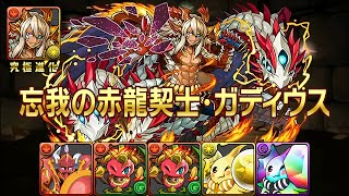 【パズドラ】忘我の赤龍契士・ガディウスに究極進化してみた 龍族拼圖