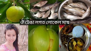 Vlog || ঔ টেঙাৰ লগত মাছ || Fish Curry With Elephant Apple