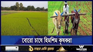 মৌলভীবাজারে বন্যার ক্ষতি পোষাতে বোরো চাষে আগ্রহ কৃষকদের | ETV NEWS | Ekushey TV