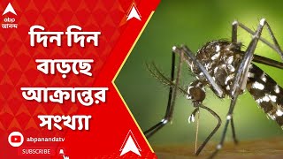 Dengue: রাজ্যে ডেঙ্গি পরিস্থিতি উদ্বেগজনক, দিন দিন বাড়ছে আক্রান্তর সংখ্যা | ABP Ananda LIVE