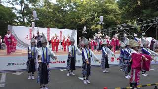 原宿表参道元気祭 スーパーよさこい2018～よんでん～（18/23）