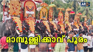 Mambullikavu Pooram 2025 LIVE @ ARN MEDIA