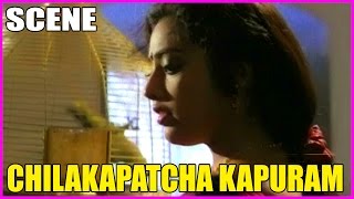 Chilakapacha Kapuram - Telugu Movie Scene - Jagapathi Babu,Soundarya,meena