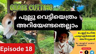 പുല്ലു വെട്ടിയെത്രം അറിയേണ്ടതെല്ലാം |എപ്പിസോഡ് 18