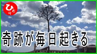 【斎藤一人】奇跡が毎日起きる（豆知識#14）第1858号