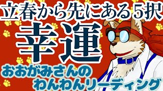 🐶春に導かれてやってくる幸せ！立春から先にある「幸運」！おみくじっぽい「５択」リーディング🐶わんこたちに聞く🐶おおがみさんのわんわんリーディング【タロット・オラクルカードリーディング】🐶