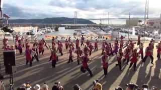 「佛教大学　紫踊屋」神戸よさこい2013　マリンピア神戸