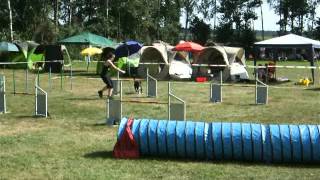 Agility- Kreismeisterschaft 2012 DVG Kreisgruppe Münsterland, Jumping, Large.AVI