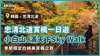 【韓國旅遊攻略】首爾出發忠清北道賞楓一日遊！輕鬆走訪小白山、滿天下Sky Walk賞楓去｜KKday