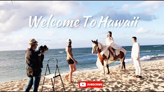 4K/ HAWAII Gorgeous Horse Amazing Beach On the Beach beautiful day 夏威夷婚纱照摄影旅拍教堂沙滩婚礼跟拍 美国夏威夷旅拍婚纱照摄影