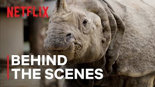 Our Living World | Rhinos in the City | Behind the Scenes | Netflix
