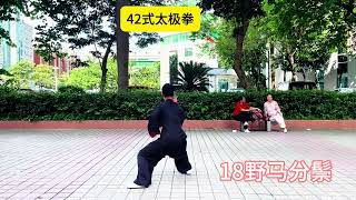 42式太极拳，16右左蹬脚，17掩手肱捶，18野马分鬃选段！