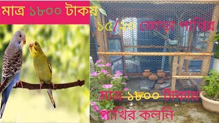 কম খরচে পাখির কলনি। ছোট কলনি তৈরি। পাখির খামার।build birds colonies at law cost.bird cage.