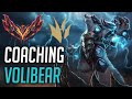 COACHING GRANDMASTER VOLIBEAR JUNGLE (FULL VOD REVIEW)