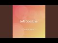 Soft Goodbye
