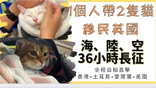 💛必睇💛【一人抬兩隻貓｜移民英國的故事 】海陸空36小時全程自拍【上集】 （土耳其🇹🇷愛爾蘭🇮🇪路線） 中文字幕