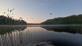 Timelapse 2024 05 31 06 01 4K Hösänlahti 1h