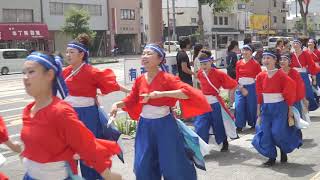 第64回よさこい祭り　8/11上町競演場　幡多舞人