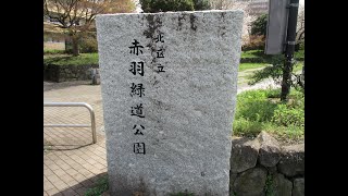 北区立赤羽緑道公園（東京都北区）～早咲きのソメイヨシノ桜が満開！３月下旬