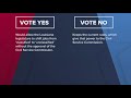 What to know about 5 constitutional amendments on May 16 ballot