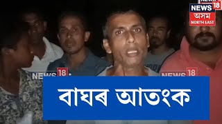 Dergaon News | বাঘৰ আতংকত কম্পিত দেৰগাঁৱৰ বেজগাঁও। বনবিভাগৰ জ্ঞানহীনতাক লৈ ক্ষোভিত ৰাইজ। N18V