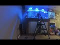 Water change timelapse