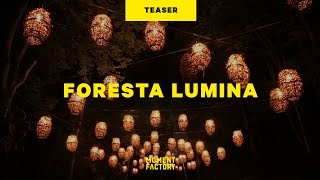 Foresta Lumina | From Park to Illuminated Forest