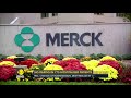 covid updates drugmaker merck’s covid pill cuts deaths hospitalizations by half wion latest news