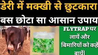 अब चुटकियों में डेयरी फार्म से मक्खी को भगाएं/makkhi kaise bhagaye/flytrap/manish enterprises