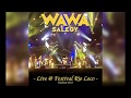 Wawa Salegy - 400 Volts, Live @ Toulouse 2017 - audio