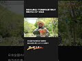 北海道のヒグマ事情！山奥に住むと・・・ shorts