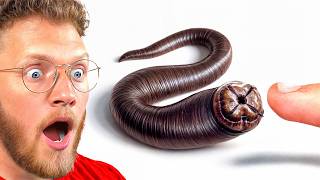 He Got A Pet Leech (scary)