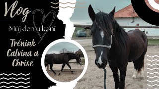 Vlog // Můj den u koní, trénink Chrise a Calvina