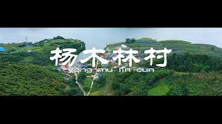 这里是吉林集安-杨木林村，走遍集安，跟着大圣一起走进东北乡村看看村里的风景吧！