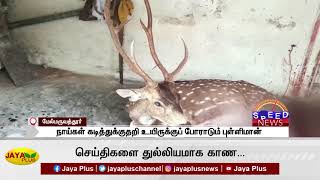 தமிழக விரைவுச் செய்திகள் | மதியம் 1 மணி | 27.06.2021 | Fast News | Speed News | Jaya Plus