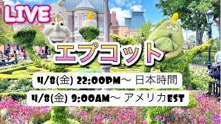 🔴ライブ: 【エプコット】キャラクターのイースターエッグハントを楽しもう